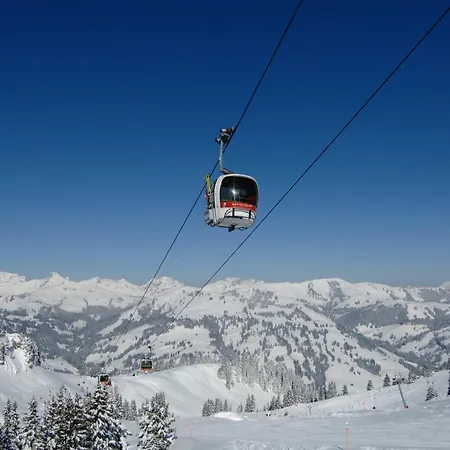 Hotel Alpenrose Mit Gourmet-Restaurant Azalee-3